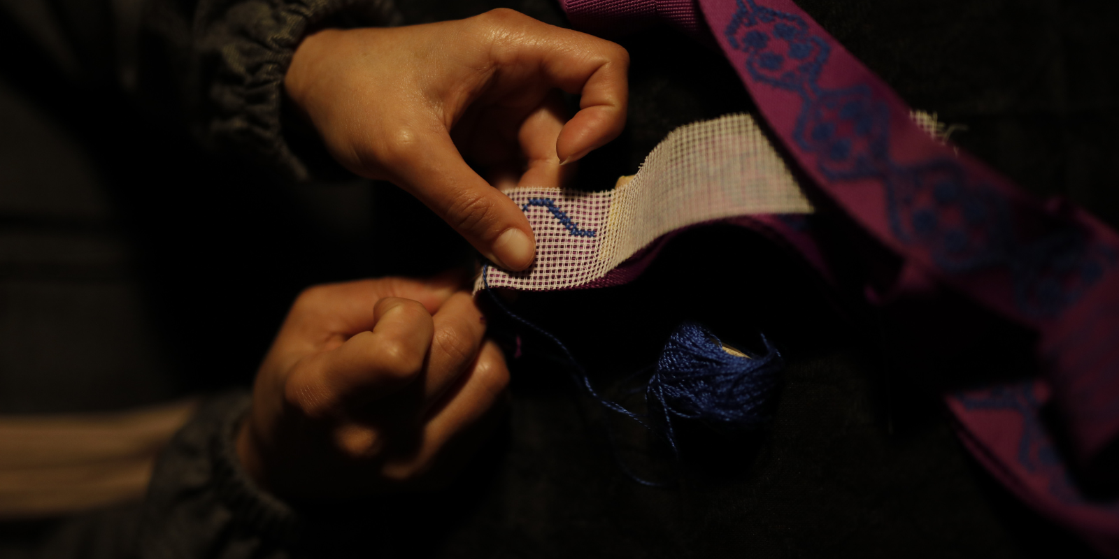 SEP in the press: Bootstrap Compassionista